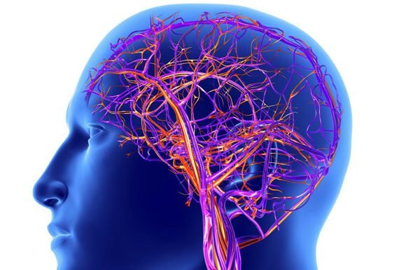 ब्लडप्रेशर बिगड़ा तो हो सकता है ‘दिमाग खराब’