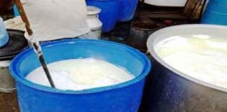 सावधान: घी-दूध में खतरनाक कैमिकल