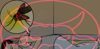 कालाजार रोकना है तो पशुओं की स्क्रीनिंग जरूरी