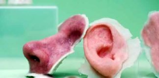 अब मानव अंग भी हो सकेंगे 3-डी प्रिंट