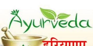 हरियाणा आयुर्वेद के फ्रांस में जलवे