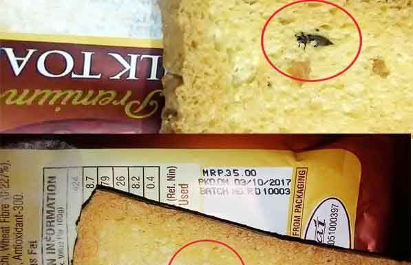वीटा डे के मिल्क टोस्ट में मरी हुई मक्खी