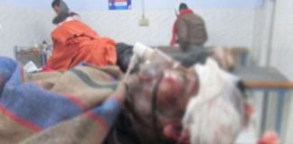 इस अस्पताल में कभी नहीं जाएंगे आप!