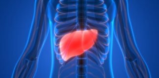 लिवर फेल्योर के रोगी में नहीं होगा संक्रमण