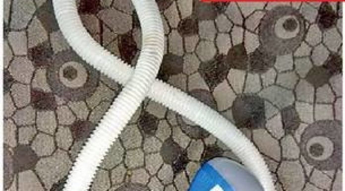 भ्रूण लिंग जांच और वो भी फर्जी तरीके से, तीन गिरफ्तार