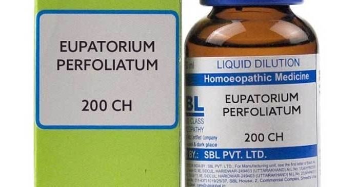 डेंगू से बचाएगी ‘इपोटोरियम’