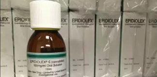 गांजे से बनी दवा करेगी मिर्गी का इलाज