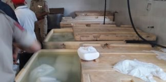 पंजाब से हरियाणा आ रहा नकली पनीर पकड़ा