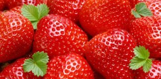 स्ट्राबेरी खाने से बेहतर होगी आंत की सेहत