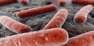 विदेश से ‘संजीवनी बूटी’ बनकर आई ये दवा