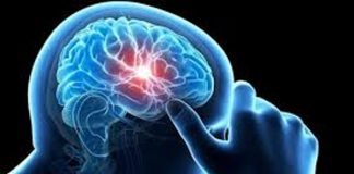 बड़े मस्तिष्क वालों को कैंसर का खतरा ज्यादा
