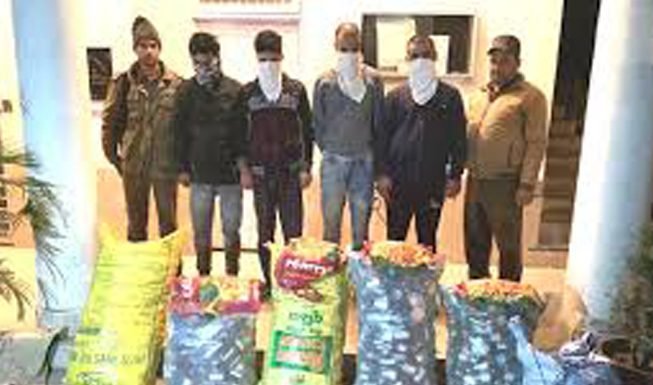 दवा और फार्मा से मिला एक्सपोर्ट को बूस्ट