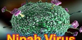 निपाह वायरस से बचने की दवा बनाने का दावा