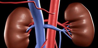 ये दवा लेने पर किडनी ट्रांसप्लांट की जरूरत नहीं