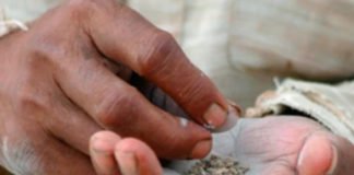 पान मसाला के साथ तंबाकू के पैकेट पर रोक