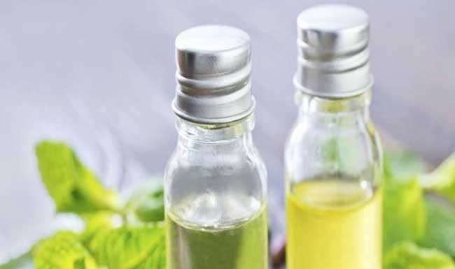 यहां बनेगी हर्बल मंडी, कैबिनेट ने किया प्रस्ताव पास