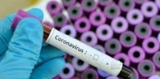 साल के आखिर तक मिल सकती है कोरोना वैक्सीन : WHO