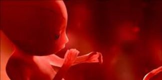 कैमिस्ट की गलत दवा के सेवन से महिला को हुआ गर्भपात