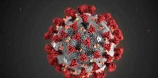 कोरोना की संख्या बढऩे पर रोक लगाएगी ये दवा