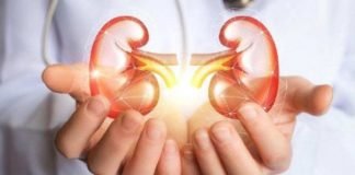 लिथियम की कम डोज से बढ़ सकती है किडनी की आयु kidney