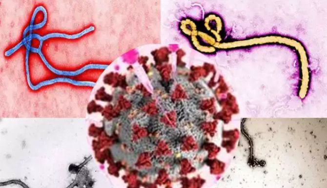 Coronavirus Treatment: प्लाज्मा थेरपी से इबोला का हुआ था इलाज, क्या वैक्सीन आने तक कोरोना में भी यही होगा?