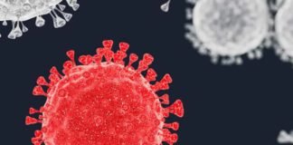 ग्लूकोज मीटर से शरीर में कोविड एंटीबॉडीज का लगेगा पता पोस्ट कोविड