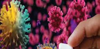 कोरोना के संक्रमण से बचा लेगी दवा EIDD-2801