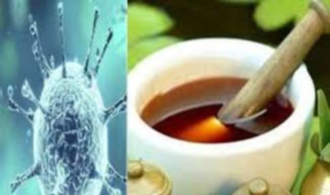 अश्वगंधा से कोरोना संक्रमण का इलाज संभव !