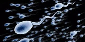 पुरुषों के स्पर्म में भी मिला कोरोना वायरस!