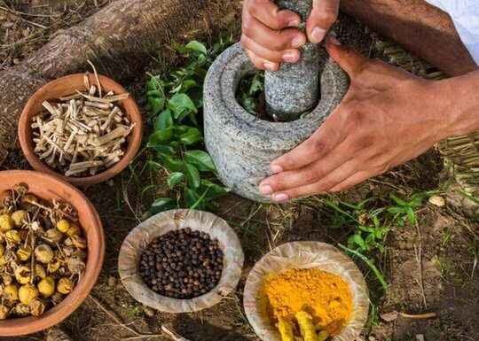 नीमच में करोड़ो की लागत से विकसित होगी औषधि मंडी