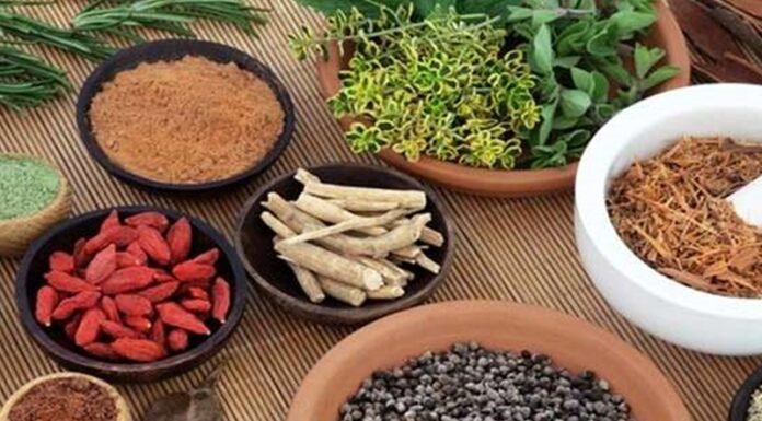 आयुर्वेद की दवाएं कोरोना के इलाज में अधिक कारगर,शोध टीम ने किया दावा