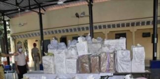 3 करोड़ की नशीली दवाओं की खेप बरामद