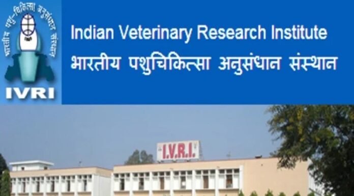 वैज्ञानिकों का दावा : 30 से 40 फीसदी जीवाणुओं पर एंटीबायोटिक दवाएं बेअसर