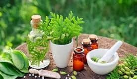 आयुर्वेद, यूनानी व सिद्ध औषधी उत्पादन के लाईसेंस के लिए बनी समिति