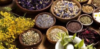 आयुष मंत्रालय की बड़ी पहल, केंद्र सरकार भी बना रही कोरोना की आयुर्वेदिक दवा