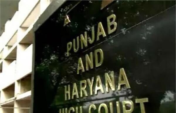 हरियाणा में करोड़ों के दवा घोटाले की जांच को लेकर हाईकोर्ट में याचिका दाखिल