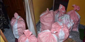 नशीली दवा की तस्करी करने के आरोप में तीन भेजे गए जेल, छापेमारी जारी