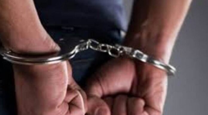 दवा की कालाबाजारी में भारतवंशी दवा कारोबारी को हुई सजा