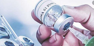 इस स्टडी ने किया बड़ा दावा, कोरोना वायरस का ब्राजील वेरिएंट है सबसे अधिक घातक