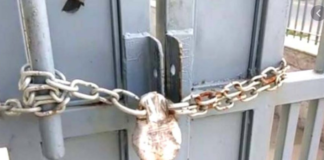 हरियाणा पुलिस की बड़ी कार्रवाई , नकली रेमडेसिविर इंजेक्शन बनाने वाली दवा कंपनी सील, 11 गिरफ्तार