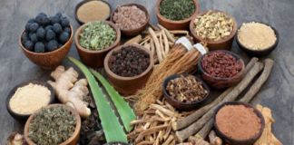 अवैध रूप से चल रही आयुर्वेदिक फैक्ट्री पर एसडीएम ने मारा छापा, सील