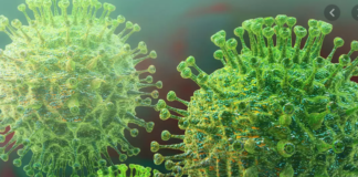 हो जाए सावधान! कोरोना का एक और खतरनाक वेरिएंट की एंट्री, सबसे ज्यादा है घातक