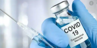 कोरबेवैक्स हो सकती है भारत की सबसे सस्ती वैक्सीन, महज 500 रुपये में दो डोज़!