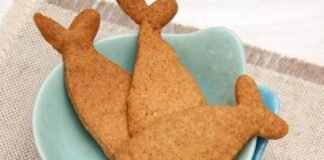 वैज्ञानिकों ने तैयार किए Fish से प्रोटीन बिस्कुट, दवा का भी करेंगे काम