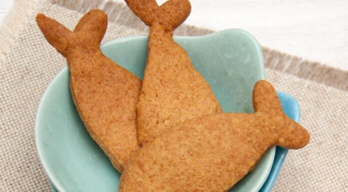 वैज्ञानिकों ने तैयार किए Fish से प्रोटीन बिस्कुट, दवा का भी करेंगे काम
