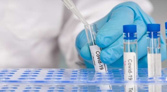 घोड़ों के एंटीबॉडी से ये कंपनी बना रही दवा, 72 घंटे में RT-PCR निगेटिव!