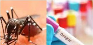 बड़ी खबर, भारतीय वैज्ञानिकों ने खोजी निकाली डेंगू की दवा, जानिए कब तक मिलेगी