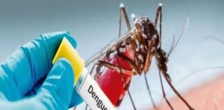 डेंगू के मरीजों पर घातक साबित हो रही हैं ये दवाइयां, लगी रोक