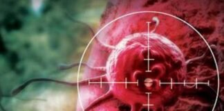 वैज्ञानिकों ने कैंसर के इलाज के लिए निकाला नया तरीका, ऐसे चलेगा पता कि कौन सी दवा किस मरीज पर करेगी काम