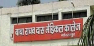 स्टेरायड ने दर्द की दवा को दी ताकत, शोध में हुआ खुलासा